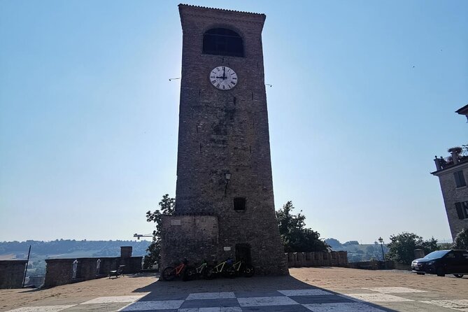 3 Hour E-bike Tour with Parmesan and Balsamic Vinegar - Stop 1: Parmigiano Reggiano PDO Dairy Visit (and Why It’s the Main Event)