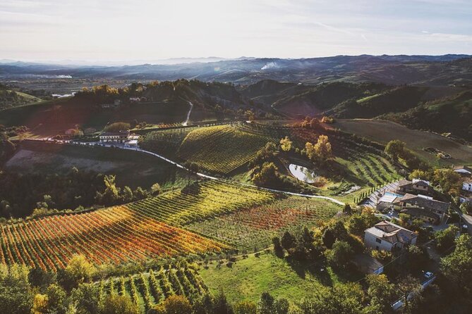 3 Hour E-bike Tour with Parmesan and Balsamic Vinegar - The Ride Between Stops: Views, Pace, and Guide Direction