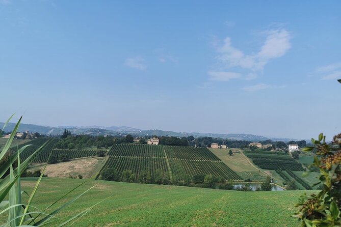 3 Hour E-bike Tour with Parmesan and Balsamic Vinegar - What’s Included (and What You’ll Want to Budget For)