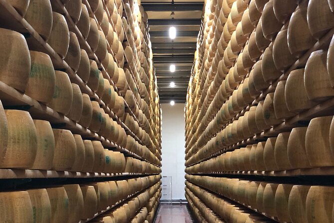 All In: Lambo,Ferrari,Balsamic,Wine, Parmigiano, PrivateTransport - Stop 5: Gavioli Antica Cantina Wine Museum and Three-Wine Cellar Tasting