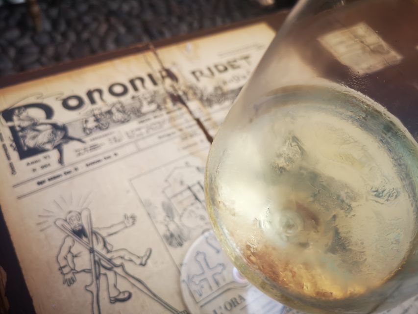 Bologna: City Center Guided Wine Walking Tour - What you taste: Colli Bolognesi wines plus variety (not just one style)
