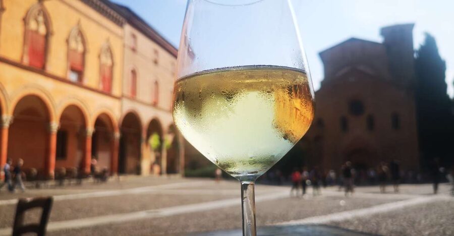 Bologna: City Center Guided Wine Walking Tour - Meeting at Piazza del Nettuno: finding it fast (and why that matters)