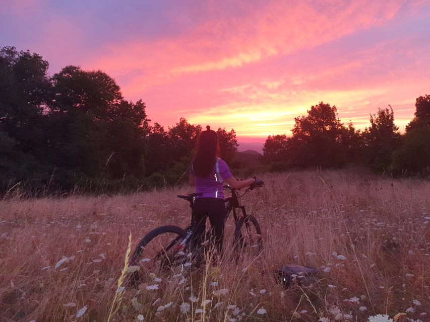 Bologna: E-Bike Guided Tour with Aperitivo - How hard is it, really? Fitness level and ride comfort