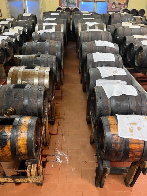 Bologna:Ferrari, Parmigiano, Balsamic Day Trip w/Light Lunch - The light lunch in Modena hills: satisfying, but not a full meal