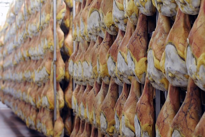 Bologna Food Experience: Factory tours & Family-Style Lunch - The family-style lunch with wine: where the day turns into a big Italian meal