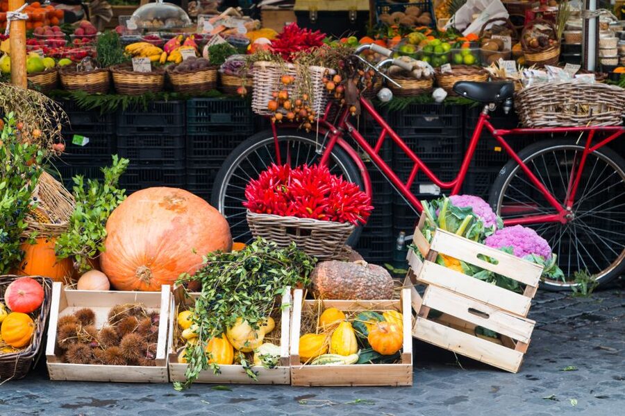 Bologna: Market, Cooking Demo and Meal at a Local's Home - A 4-Course Bologna Meal at an Italian Table: The Menu You’ll Taste
