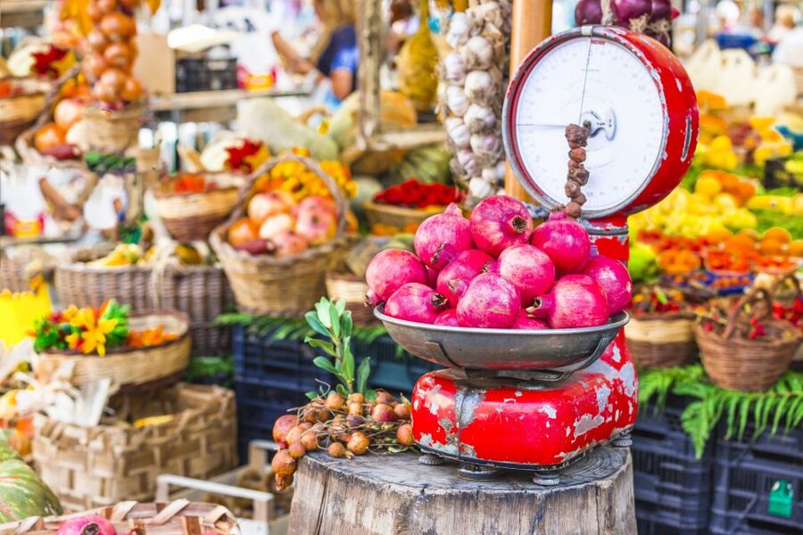 Bologna: Market, Cooking Demo and Meal at a Local's Home - Cooking Demo in a Real Home Setting: What You’ll Actually Watch