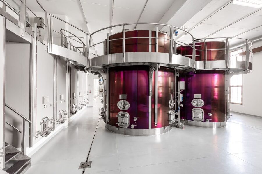 Bologna: Olive Grove and Vineyard Tour with Product Tastings - Key Takeaways Before You Go