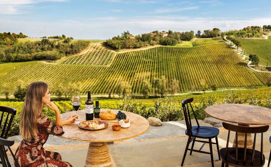 Bologna: Olive Grove and Vineyard Tour with Product Tastings - The Estate Walk: Olive Groves, Vine Rows, Gardens, and Rare Crops