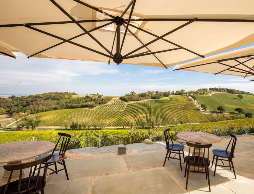 Bologna: Olive Grove and Vineyard Tour with Product Tastings - The Practical Flow: Timing, Group Size, and How to Plan Your Stop