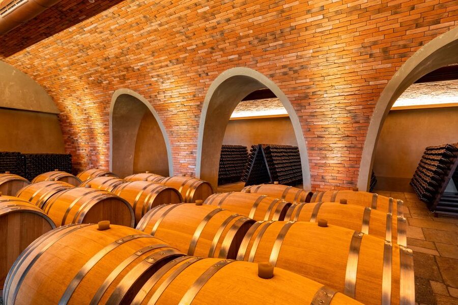 Bologna: Olive Grove and Vineyard Tour with Product Tastings - FAQ