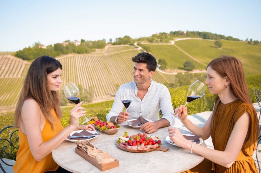 Bologna: Olive Grove and Vineyard Tour with Product Tastings - What You’ll Taste: Wines, Extra Virgin Olive Oil, and Local Pairings