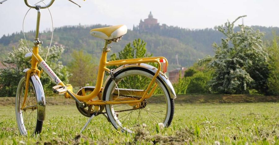 Bologna: Panoramic Bike Tour - The university loop: Archiginnasio, Via Zamboni, and why the area feels different