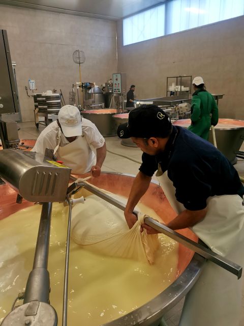 Bologna: Parmigiano, Wine and Balsamic Vinegar experience - Bologna and Modena food stops that connect, not compete