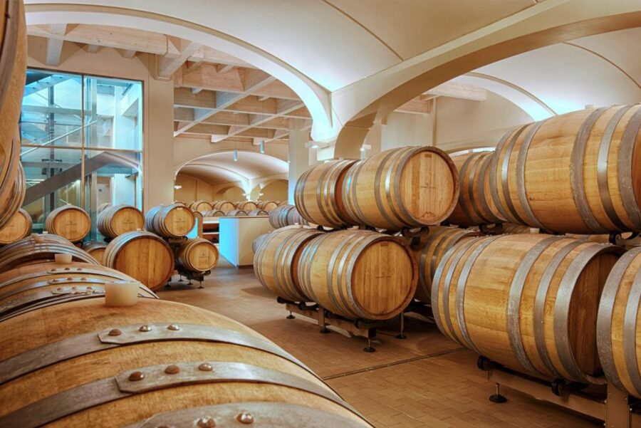 Bologna Vineyard Vista: a journey through Emilian wines - Bologna Vineyard Vista: Emilian Wines With Real Pairings