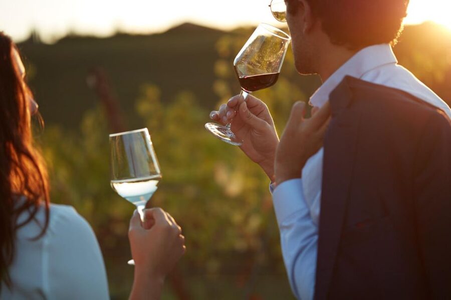 Bologna Vineyard Vista: a journey through Emilian wines - The Classic Route: Cellars and a Pignoletto Starter That Shows the Style