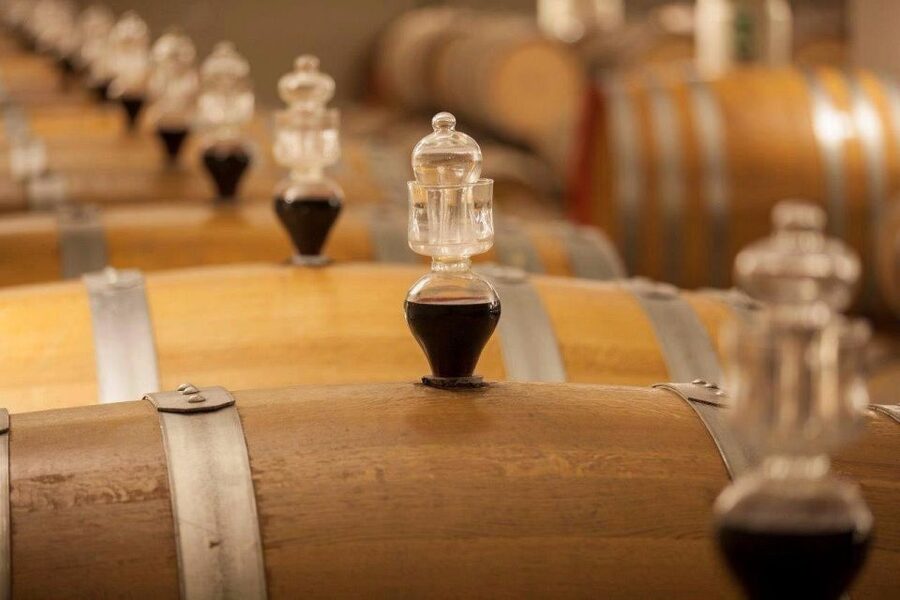 Bologna Vineyard Vista: a journey through Emilian wines - Bologna Vineyard Vista Price and Value: What You’re Paying For