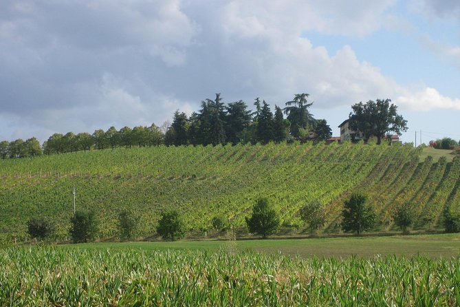 Bologna Wine Tasting & Winery Tour in the Colli Bolognesi - Where you meet and how to get there (Zola Predosa area)