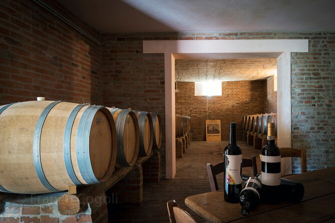 Bologna Wine Tasting & Winery Tour in the Colli Bolognesi - Weather reality: rain can shrink the outdoor portion