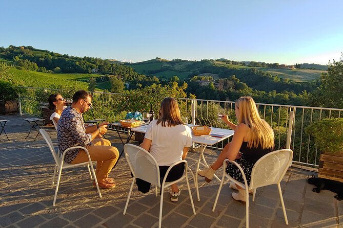 Bologna Wine Tasting & Winery Tour in the Colli Bolognesi - Price and value: is $58.87 worth it?