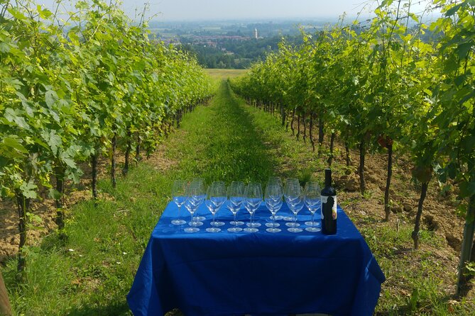 Bologna Wine Tasting & Winery Tour in the Colli Bolognesi - Best fit: who should book this tour