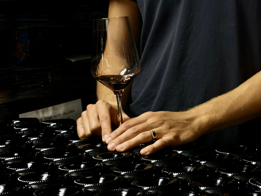 Boutique Winery Tour with Wine Tasting & Food in Bologna - Inside the winery: seeing how the cellar choices shape each bottle