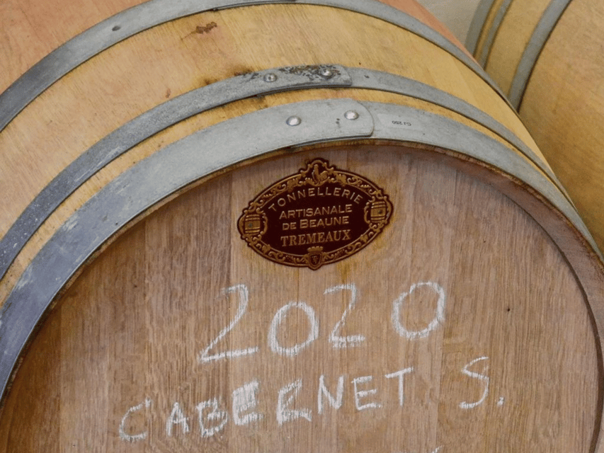 Boutique Winery Tour with Wine Tasting & Food in Bologna - How the 1.5 hours actually feels on the ground