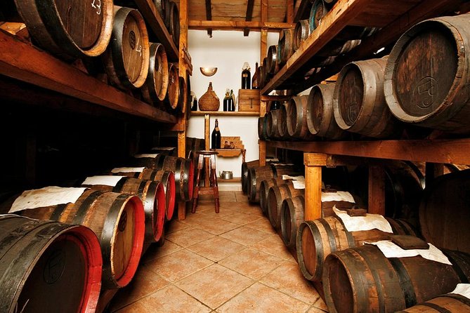 Cavedoni Balsamic Vinegar Tour: The Oldest in Modena - Key highlights you should care about