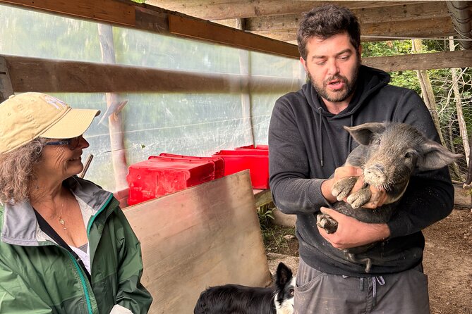 Emilian Mountains: Local Flavours, Castle & outdoors - Acetaia Comunale Rupe di Canossa: how Traditional Balsamic gets made