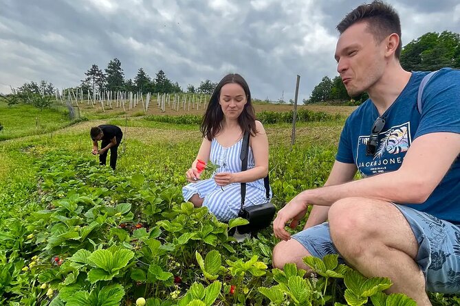 FARM STAY EXPERIENCE & DOZZA - Private Day Tour From Bologna - The farm stay at Agriturismo La Taverna: meet the real work