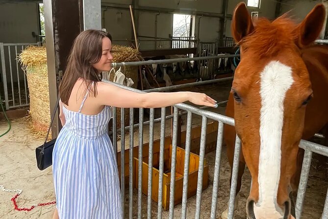 FARM STAY EXPERIENCE & DOZZA - Private Day Tour From Bologna - Should you book the Farm Stay Experience & Dozza tour?