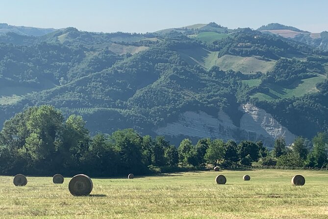 FARM STAY EXPERIENCE & DOZZA - Private Day Tour From Bologna - FAQ