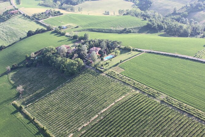 Felsina Culinaria - Personalised Private Cooking Course - A Bologna cooking class with Po Valley views