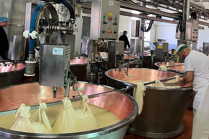 Ferrari, Parmesan and Balsamic Day Tour from Bologna - Key Things To Know Before You Go
