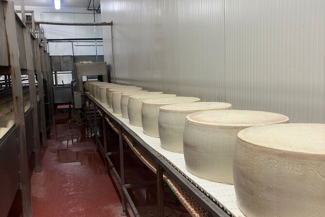 Ferrari, Parmesan and Balsamic Day Tour from Bologna - Price and Value: Is $321.68 Worth It?