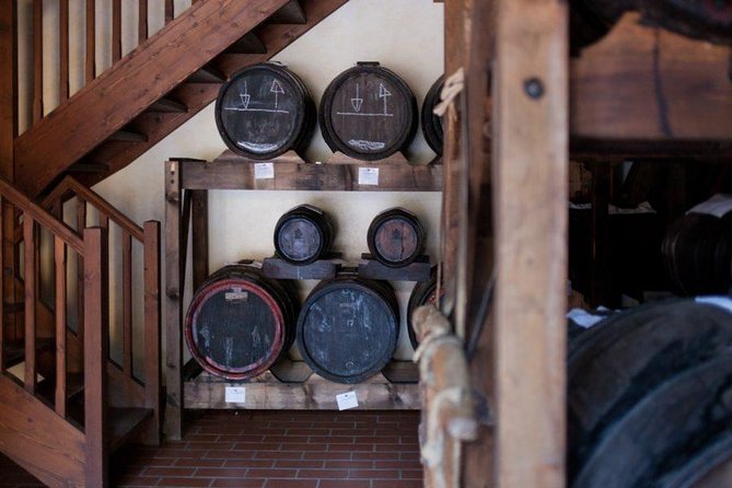 Food Tour: Parmigiano, Balsamic, Red Wine, lunch,transport - Quick hits: what you’ll remember most