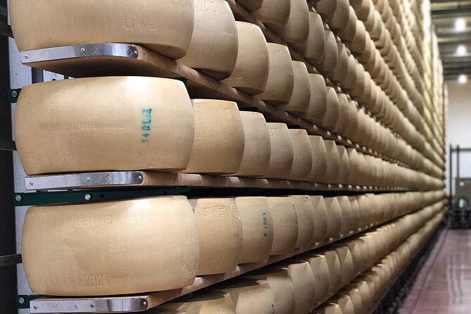 Food Tour: Parmigiano, Balsamic, Red Wine, lunch,transport - Stop 1: Gavioli Antica Cantina and the wine museum-to-tasting flow