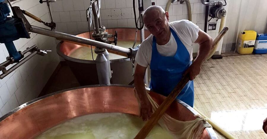 From Bologna: Emilia Excellence Food Tour - The Emilia-Romagna “food icons” concept