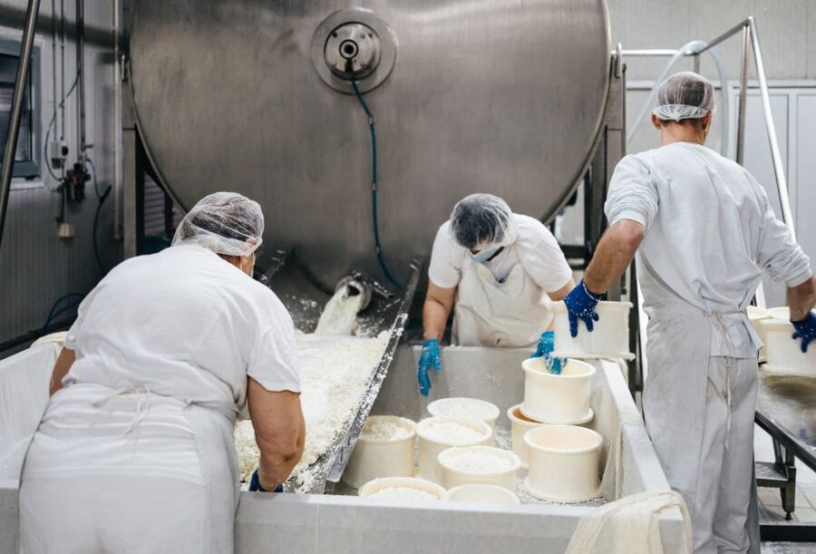 From Bologna: Emilia Excellence Food Tour - Parmigiano Reggiano: seeing why aging matters