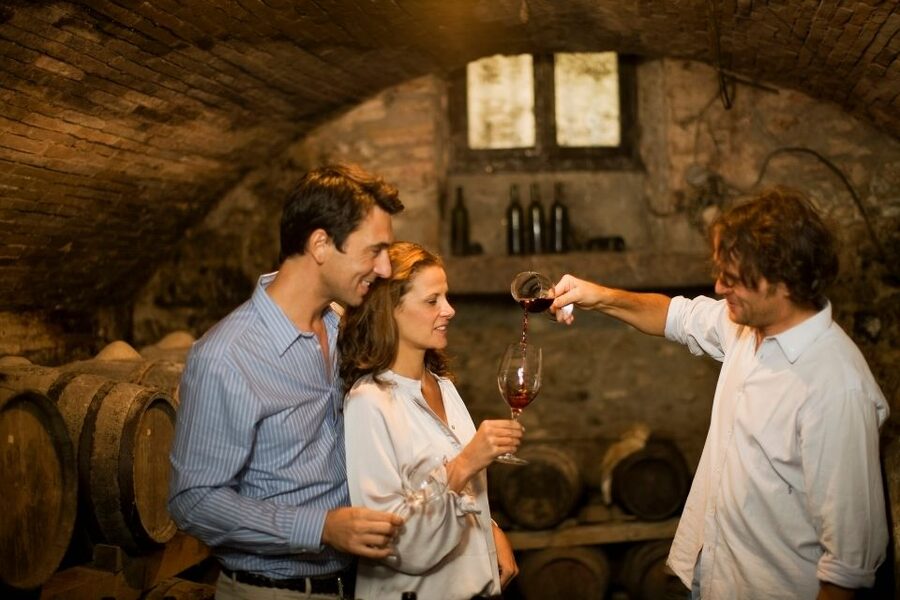 From Bologna: Emilia Excellence Food Tour - Acetaia and balsamic: learning the difference by taste