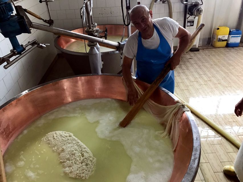From Bologna: Emilia Excellence Food Tour - From Bologna countryside roads: why the driver matters