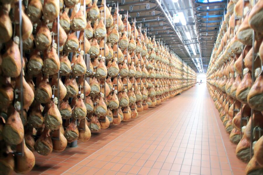From Bologna or Modena: Parma Gastronomic Tour with Lunch - Inside a Parmigiano Reggiano producer: what you actually learn