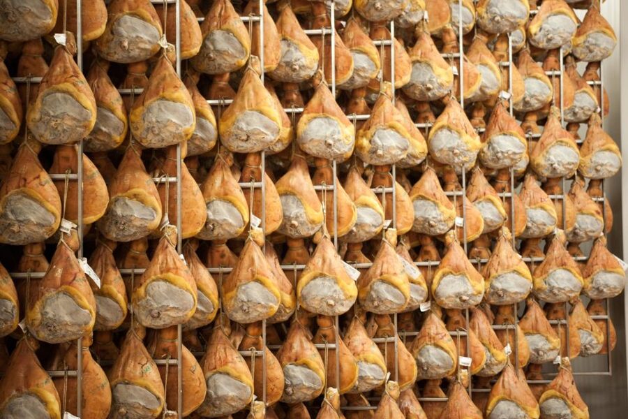 From Bologna: Parma Cheese & Ham Factory Tours and Tastings - Who Should Book This Parma Tour (And Who Might Not Love It)