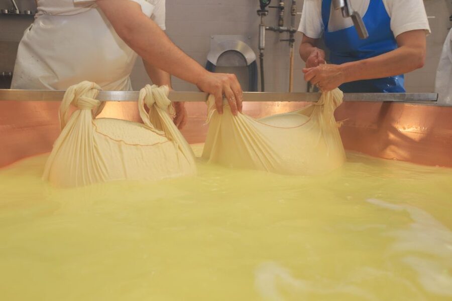 From Bologna: Parma Cheese & Ham Factory Tours and Tastings - From Bologna Station to Parma: The Day Starts on Rails