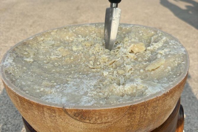 From Bologna: Parmesan Cheese & Balsamic Vinegar Tour+Lunch - Key highlights before you go
