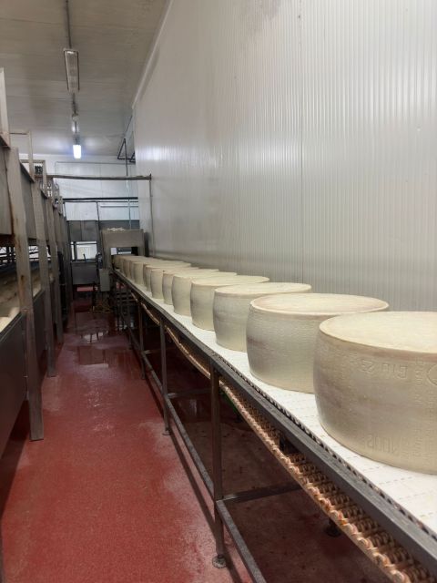 From Bologna: Parmesan, Vinegar, Lambrusco with Transfer - Price and value: is $356.85 per person worth it?