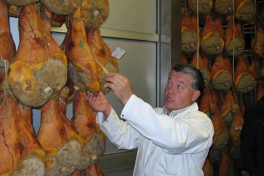 From Parma: Parmesan, Parma Ham & Balsamic Vinegar Tour - Langhirano and Parma Ham: Sweetness Comes From Timing