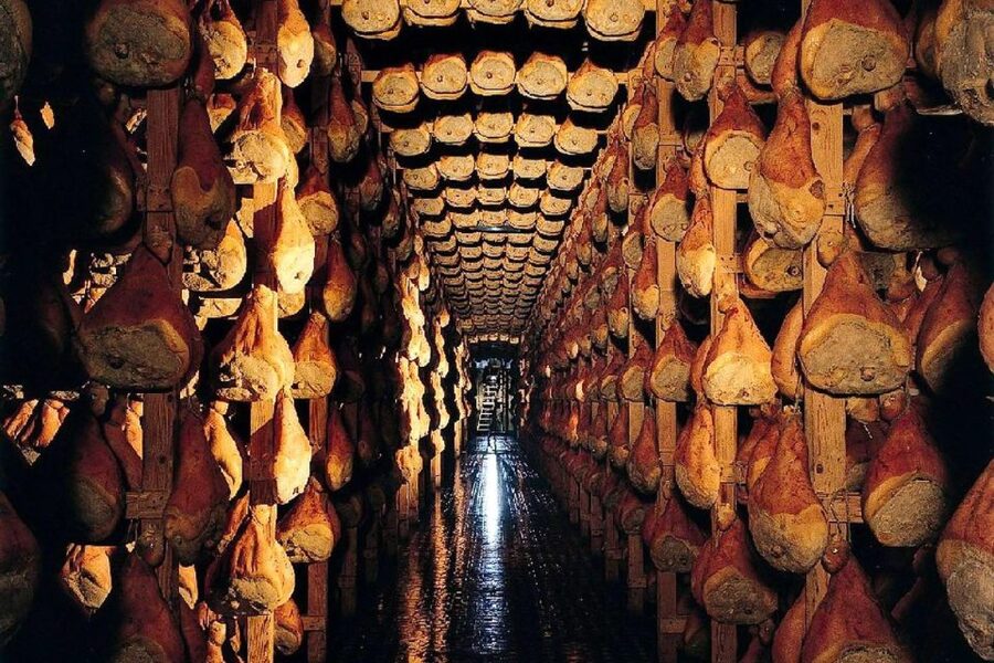 From Parma: Parmesan, Parma Ham & Balsamic Vinegar Tour - Guide Craft: The Difference Between Hearing and Getting It