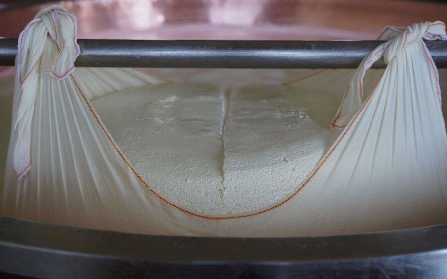 From Parma: Parmigiano and Parma Ham Guided Food Tour - Parmigiano Reggiano at a traditional caseificio: whey to wheel