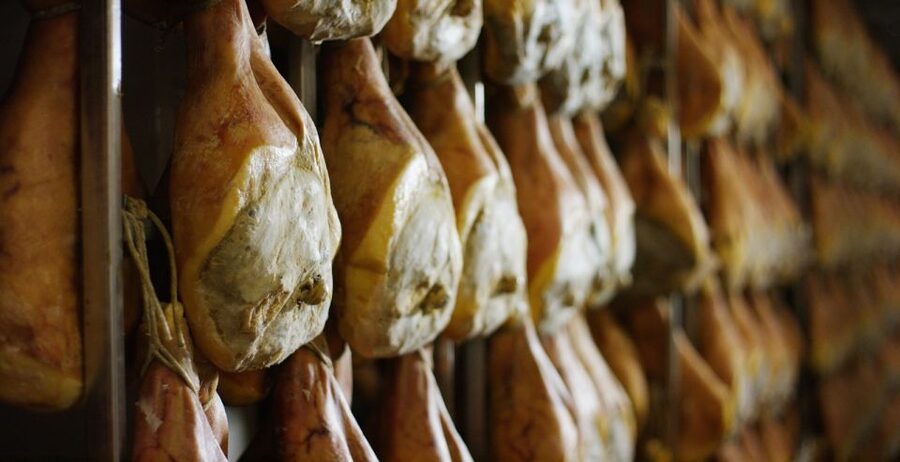 From Parma: Parmigiano and Parma Ham Guided Food Tour - The stagionatura, Consorzio testing, and that fire-brand moment